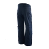 Erkek Kayak / Snowboard Pantolonu - Premium Ski Collection